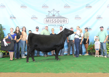 Reserve Grand Champion Female