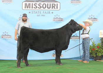 Senior Heifer Calf Champion