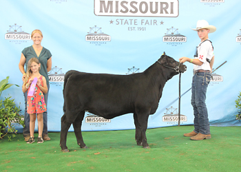 Junior Heifer Calf Champion
