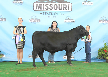 Junior Bull Calf Champion