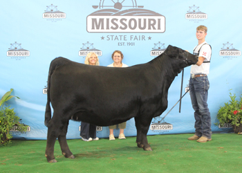 Reserve Senior Champion Female