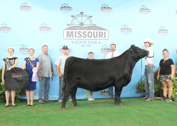 Reserve Grand Champion Female