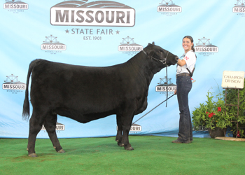 Intermediate Champion Heifer