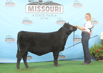 Reserve Intermediate Champion Heifer
