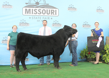 Reserve Grand Champion Bull