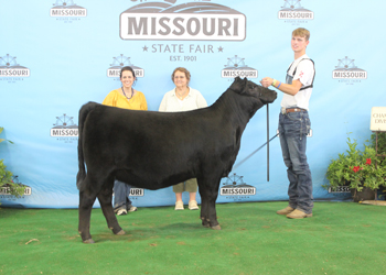 Senior Heifer Calf Champion