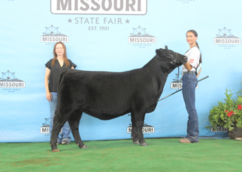 Reserve Junior Heifer Calf Champion