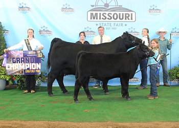 Grand Champion Cow-calf Pair