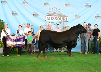 Reserve Grand Champion PGS Bull
