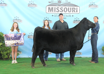 Reserve Early Junior Champion Heifer