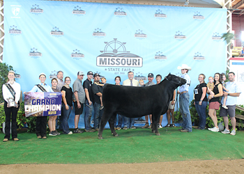 Grand Champion Female