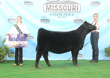 Reserve Early Senior Heifer Calf Champion