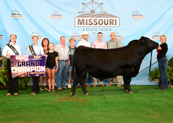 Grand Champion PGS Bull