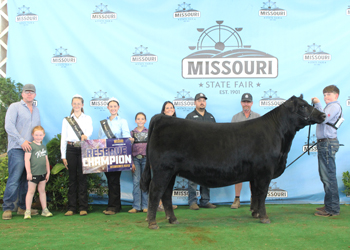 Reserve Intermediate Champion Heifer