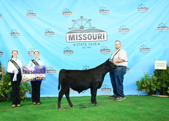 Reserve Junior Bull Calf Champion