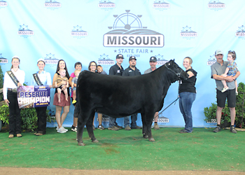 Reserve Late Junior Champion Heifer