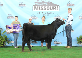 Late Senior Heifer Calf Champion