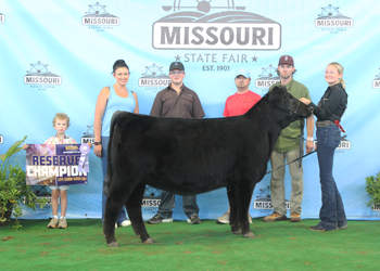 Reserve Late Senior Heifer Calf Champion