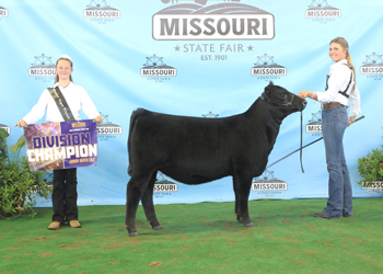 Junior Heifer Calf Champion