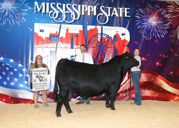 Grand Champion Bull