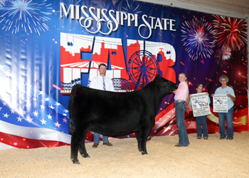 Reserve Grand Champion Female