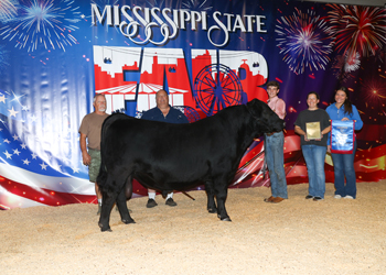 Grand Champion Owned Bull