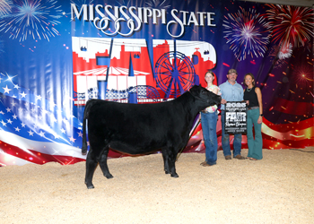 Reserve Grand Champion Bred-and-owned Female