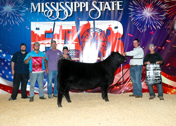 Grand Champion Bred-and-owned Female