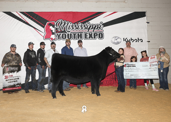 Grand Champion Owned Female