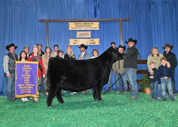 Grand Champion Female