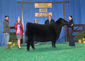 Reserve Junior Champion Heifer Div 1