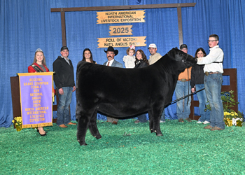 Reserve Grand Champion Female