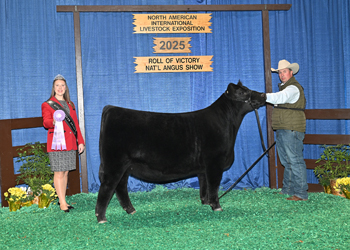 Reserve Senior Heifer Calf Champion Div 1