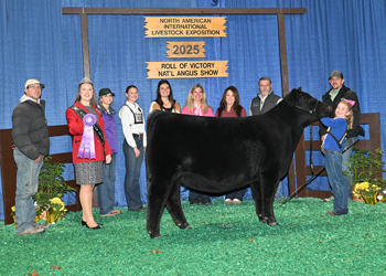 Senior Heifer Calf Champion Div 1