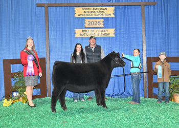 Junior Heifer Calf Champion Div 1