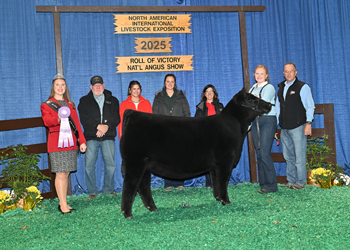 Junior Heifer Calf Champion Div 3