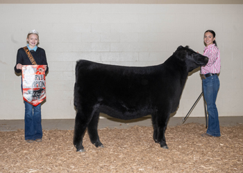Reserve Grand Champion Bred-and-owned Female