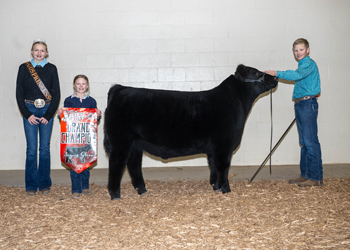 Grand Champion Steer