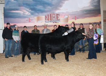Grand Champion Cow-calf Pair