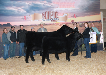 Reserve Grand Champion Cow-calf Pair