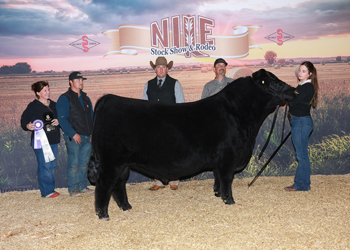 Grand Champion Bred-and-owned Bull