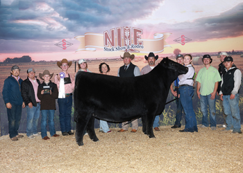 Grand Champion Owned Female