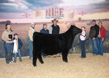 Reserve Grand Champion Owned Female