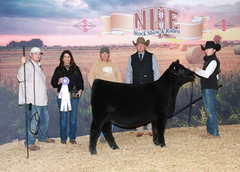 Grand Champion Bred-and-owned Female