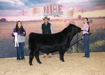 Reserve Grand Champion Bred-and-owned Bull
