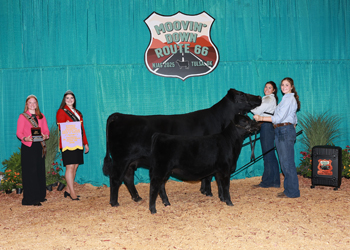 Bred-and-owned Reserve Champion Mature Cow-calf Pair