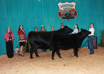 Bred-and-owned Champion Mature Cow-calf Pair