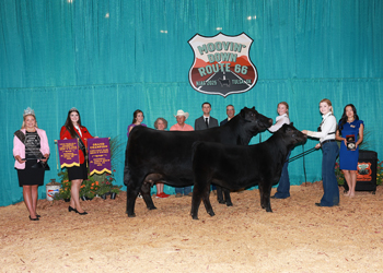 Grand Champion Bred-and-owned Cow-calf Pair