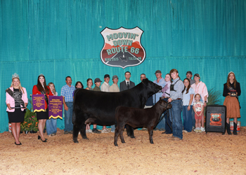 Grand Champion Owned Cow-calf Pair