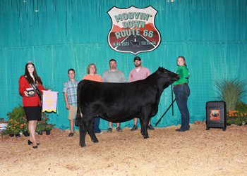 PGS Reserve Heifer Division 4